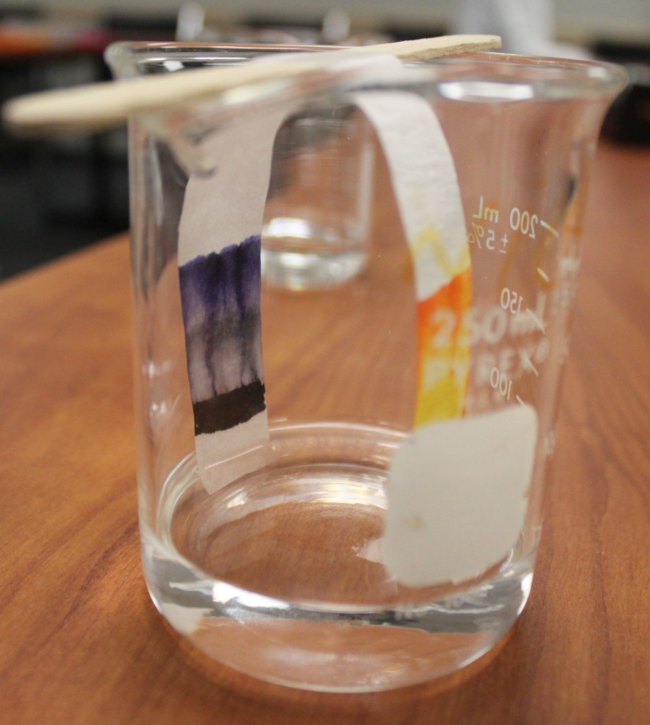 Exploring Pigments with Paper Chromatography